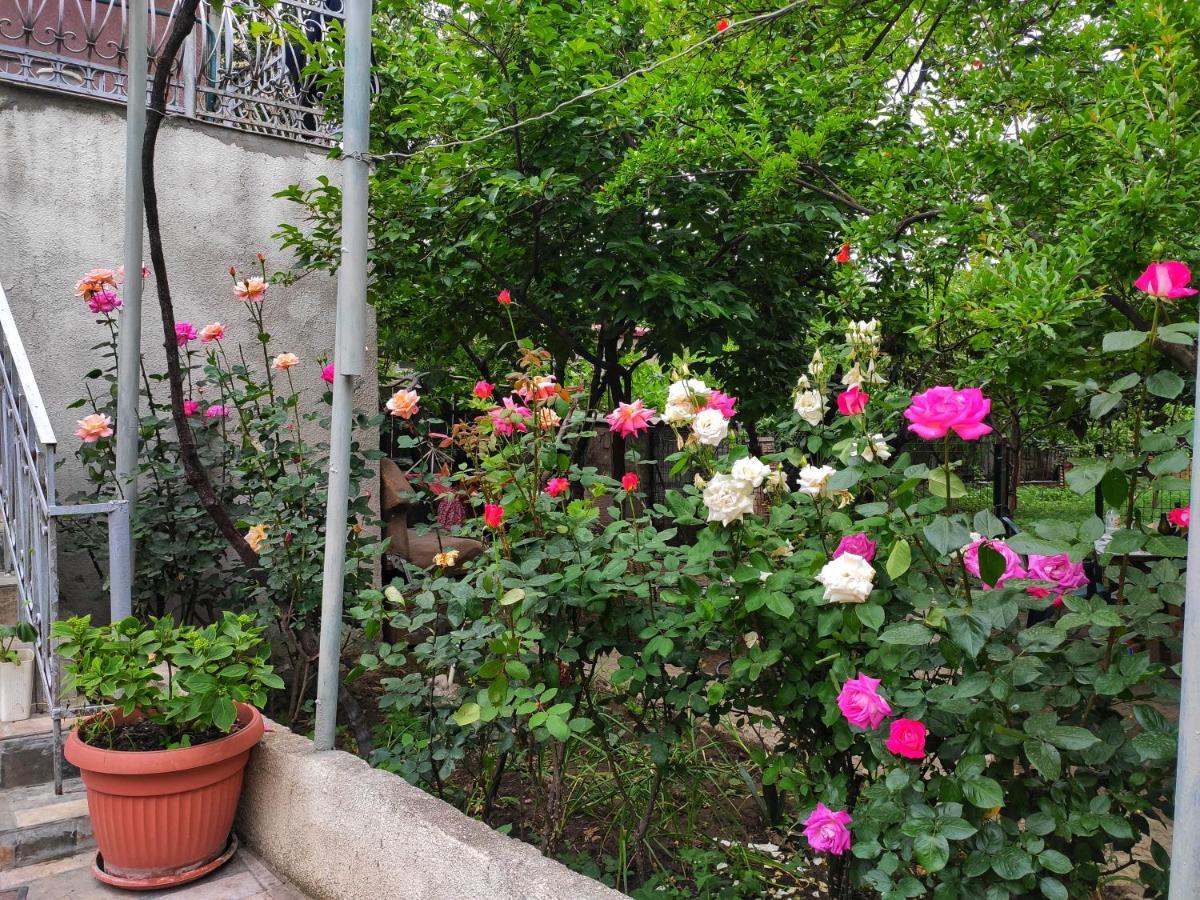 Guesthouse Ttt Tbilisi Exterior photo