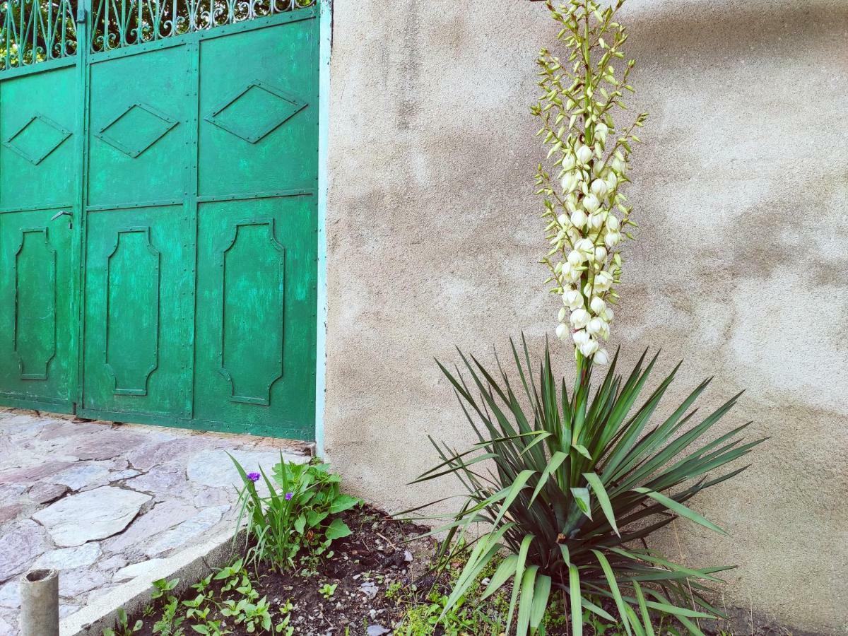 Guesthouse Ttt Tbilisi Exterior photo